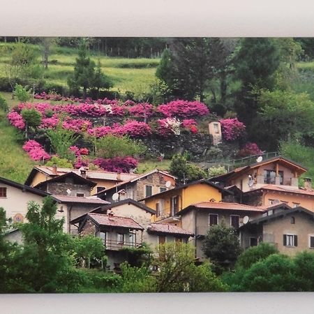 Casa Emma Villa Pianello Del Lario Dış mekan fotoğraf